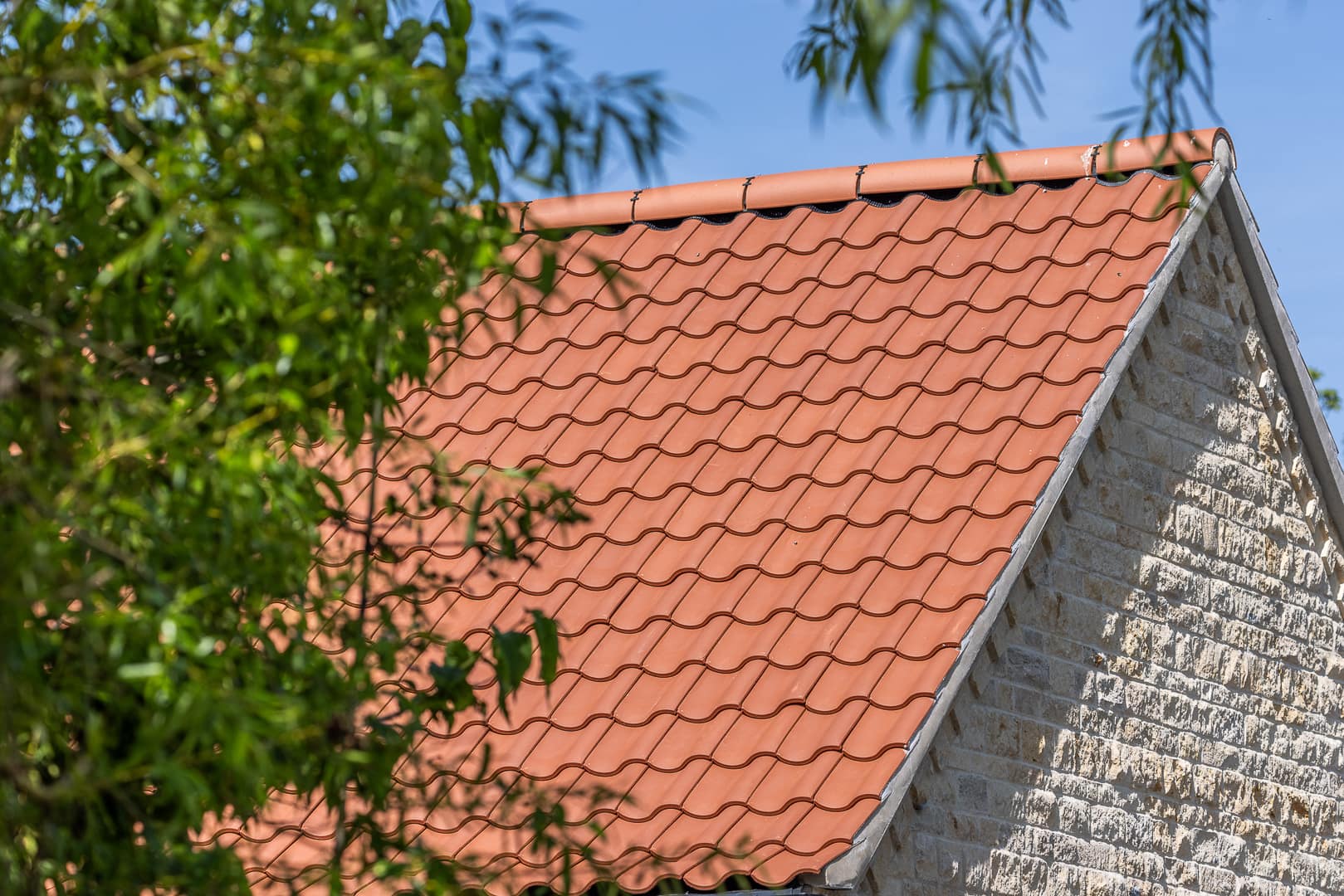 Photograph of a roof framed by the leaves of a tree